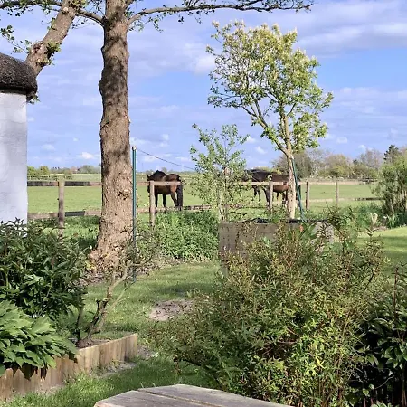 Friesenkate Am Seedeich